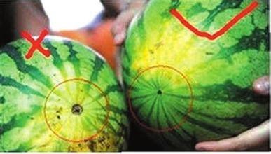 谷圈吃瓜bot,揭秘娱乐圈幕后故事，带你领略明星真实生活