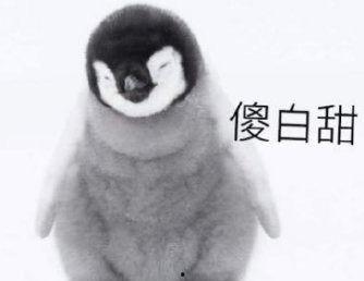 理性吃瓜北极星,揭秘北极星背后的故事