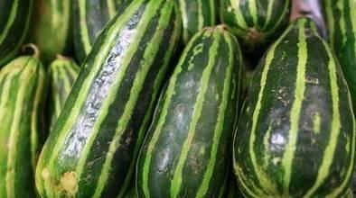 金龙梢瓜怎么吃,解锁美味新体验