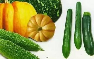 吃瓜吃啥瓜,揭秘吃瓜吃啥瓜的奥秘与乐趣