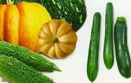 老九八吃瓜视频