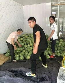 常州工程事件吃瓜,揭秘校园食堂风波背后的真相