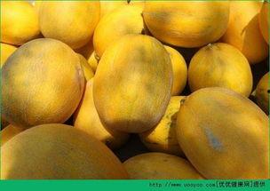 吃哈密瓜饱腹,夏日消暑饱腹佳选