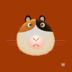 编程猫吃瓜,揭秘编程界的热门话题与趣味瞬间