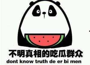 吃瓜群都是干嘛的,网络社交的趣味与争议