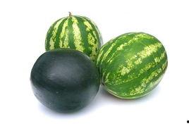 涿州吃瓜事件,一场引发社会热议的网络狂欢