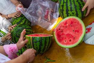 河北关于吃瓜视频,短视频中的社会观察与娱乐风向