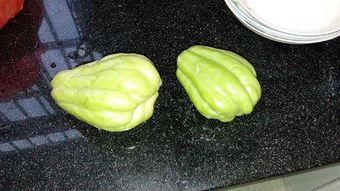 吃兔儿瓜,探寻吃兔儿瓜的独特风味与养生奥秘