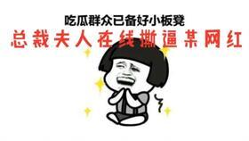 吃瓜总裁夫人,揭秘吃瓜总裁夫人的豪门生活