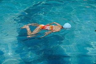 蛙泳吃瓜,揭秘蛙泳技巧与乐趣