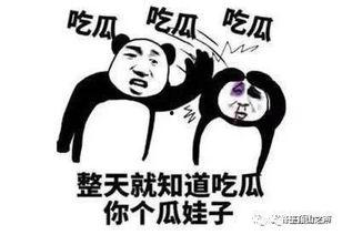 带你吃瓜不动心挑战,揭秘如何成为吃瓜群众的冷静观察者