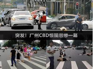 广州撞人吃瓜事件,悲剧背后的人性探讨与法律反思