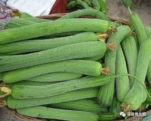 为何喜欢吃瓜,揭秘“吃瓜群众”背后的心理奥秘