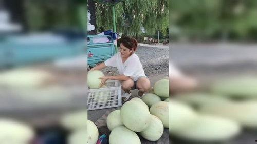 吃白马瓜上火吗,揭秘上火真相