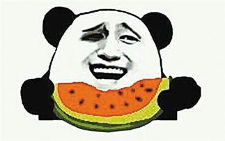 坐飞机吃瓜吃到自己,吃瓜乘客意外成为瓜王传奇