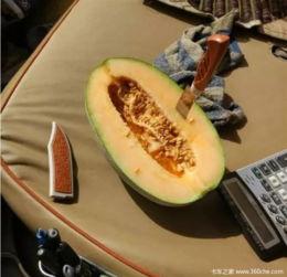 吃瓜新闻名称,XX事件背后的真相与内幕