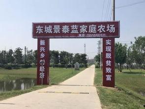 吃瓜吃到界首,揭秘界首美食界的那些事儿