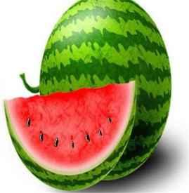 吃小瓜发胖吗,吃小瓜真的会导致发胖吗？揭秘瓜类食物的真相