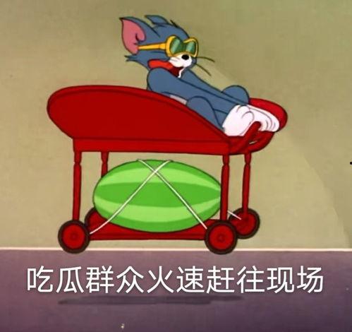 泰安吃瓜爆料,揭秘娱乐圈背后的惊人真相