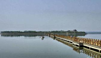 浮龙湖镇吃瓜,夏日炎炎，吃瓜群众欢乐多