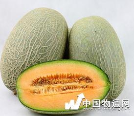 吃哈密瓜不能和什么吃,揭秘不能与哪些食物同食