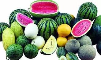 杭州直属商务吃瓜,吃瓜群众眼中的风云变幻