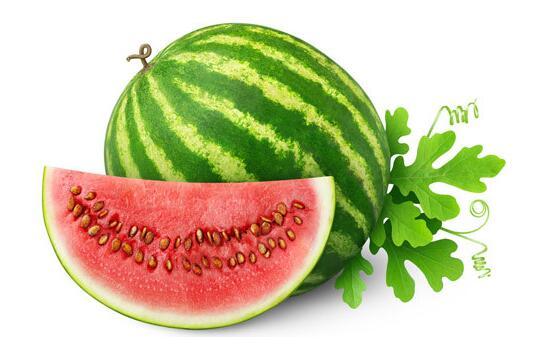 瓜二姐和瓜爸吃汤圆,温馨团圆，甜蜜滋味