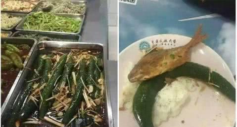 常州大学食堂吃瓜,瓜果飘香，美食共享的校园时光