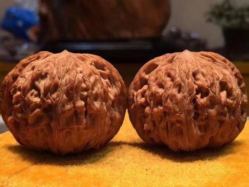 六亿核桃带你吃瓜,带你领略全民吃瓜新潮流