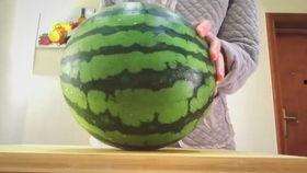 喜欢吃瓜尤其是大瓜,揭秘大瓜爱好者们的独特喜好