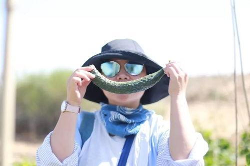 女朋友吃瓜心理,女友为何热衷于八卦新闻？