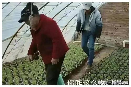 网友吃瓜群,网络舆论场中的“瓜田”众生相
