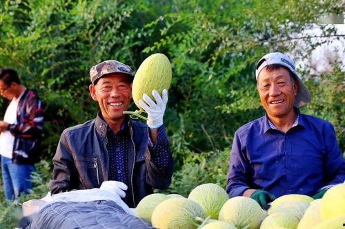 远古吃瓜群众,那些围观历史巨变的吃瓜群众