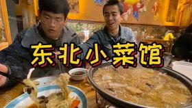 煤球吃大瓜,与巨瓜的奇幻邂逅