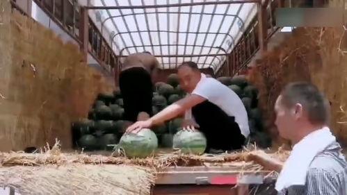 大学跳舞吃瓜现场,大学校园生活趣味横生