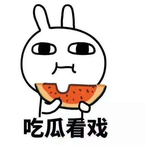 理性吃瓜吃出硬核