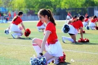 吃瓜打架校园,吃瓜打架事件背后的真相揭秘