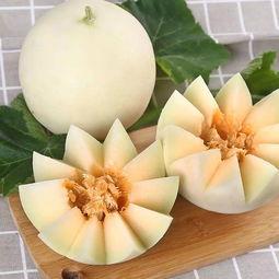 沐儿吃瓜,揭秘娱乐圈那些不为人知的幕后故事